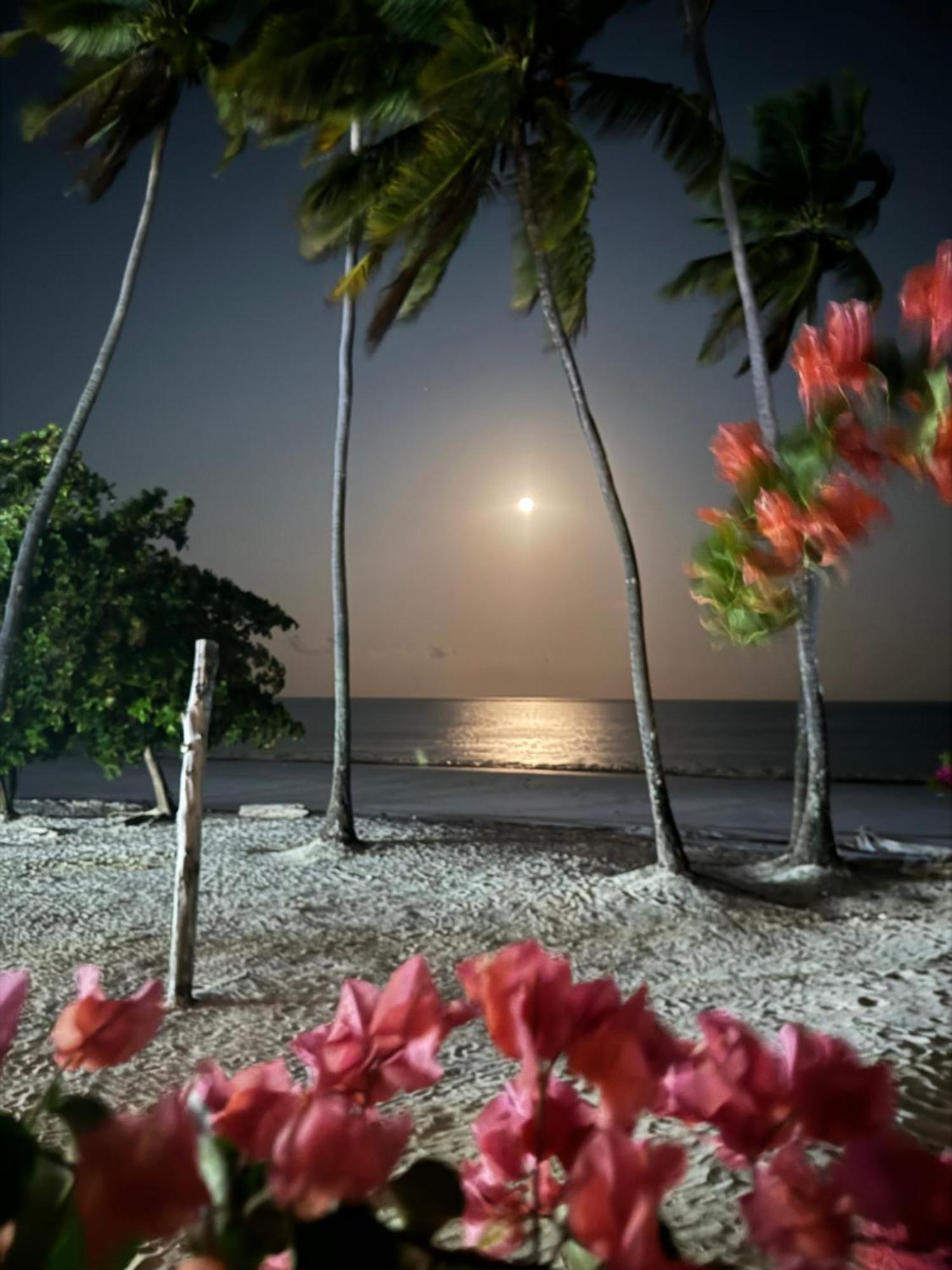 Zanzinite Beach Spa Hotel Zanzibar Exteriör bild